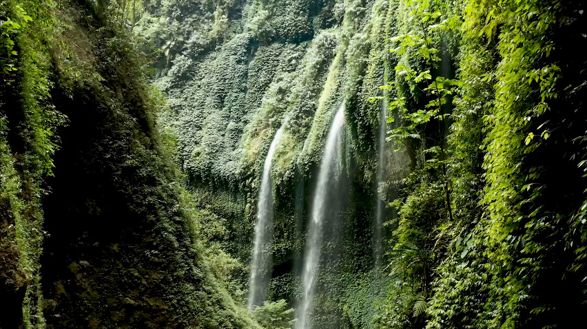 Announcing Green Seal’s 2022 Impact Report