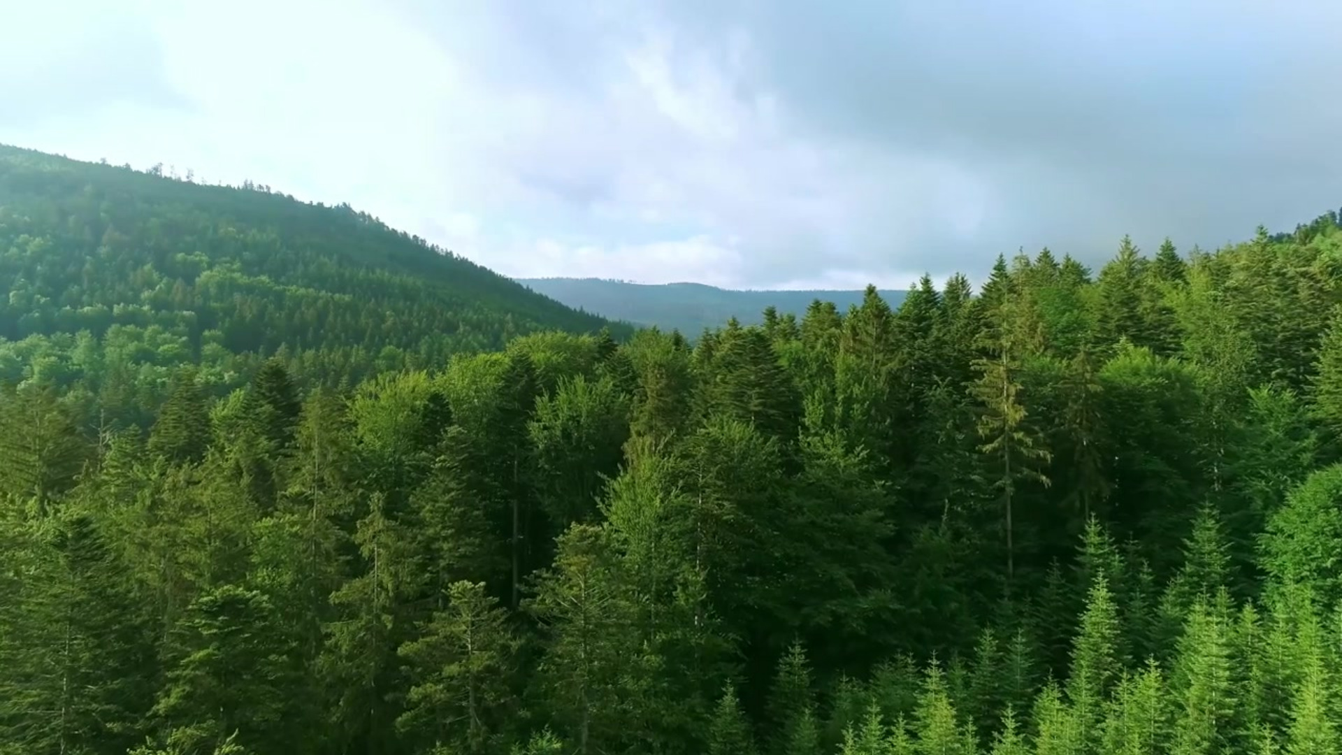 Announcing Green Seal’s 2023 Impact Report