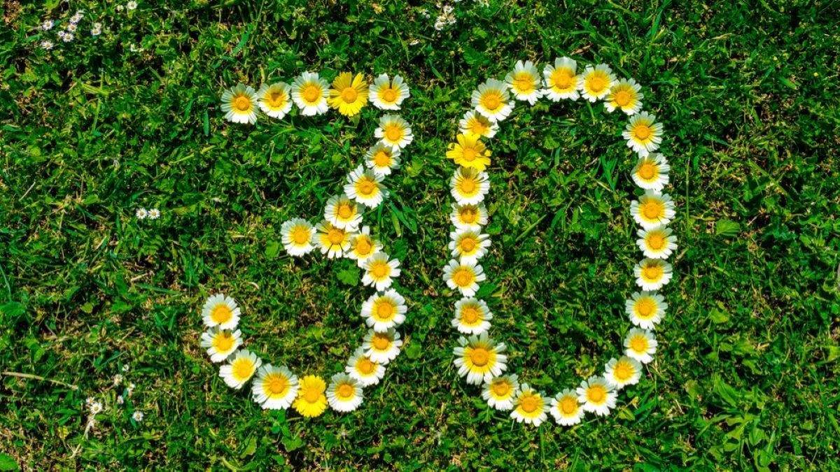 30 Years Strong: A Look at Green Seal and Ecolabelling