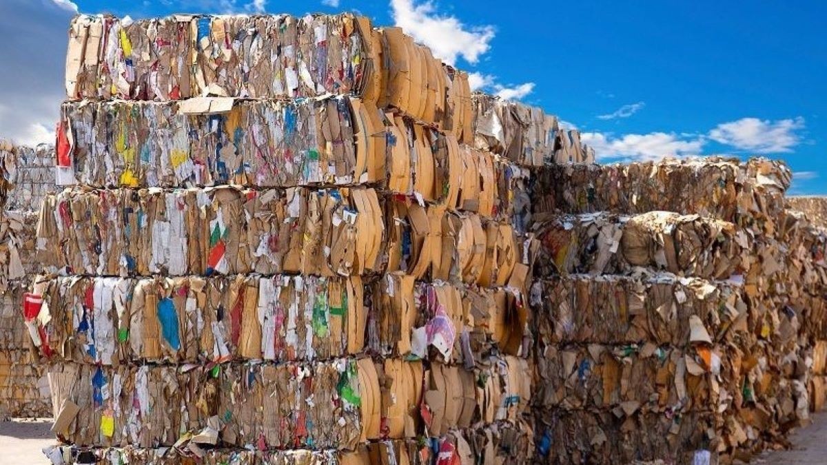 Updated Paper Waste Standards Deliver Big Environmental Wins