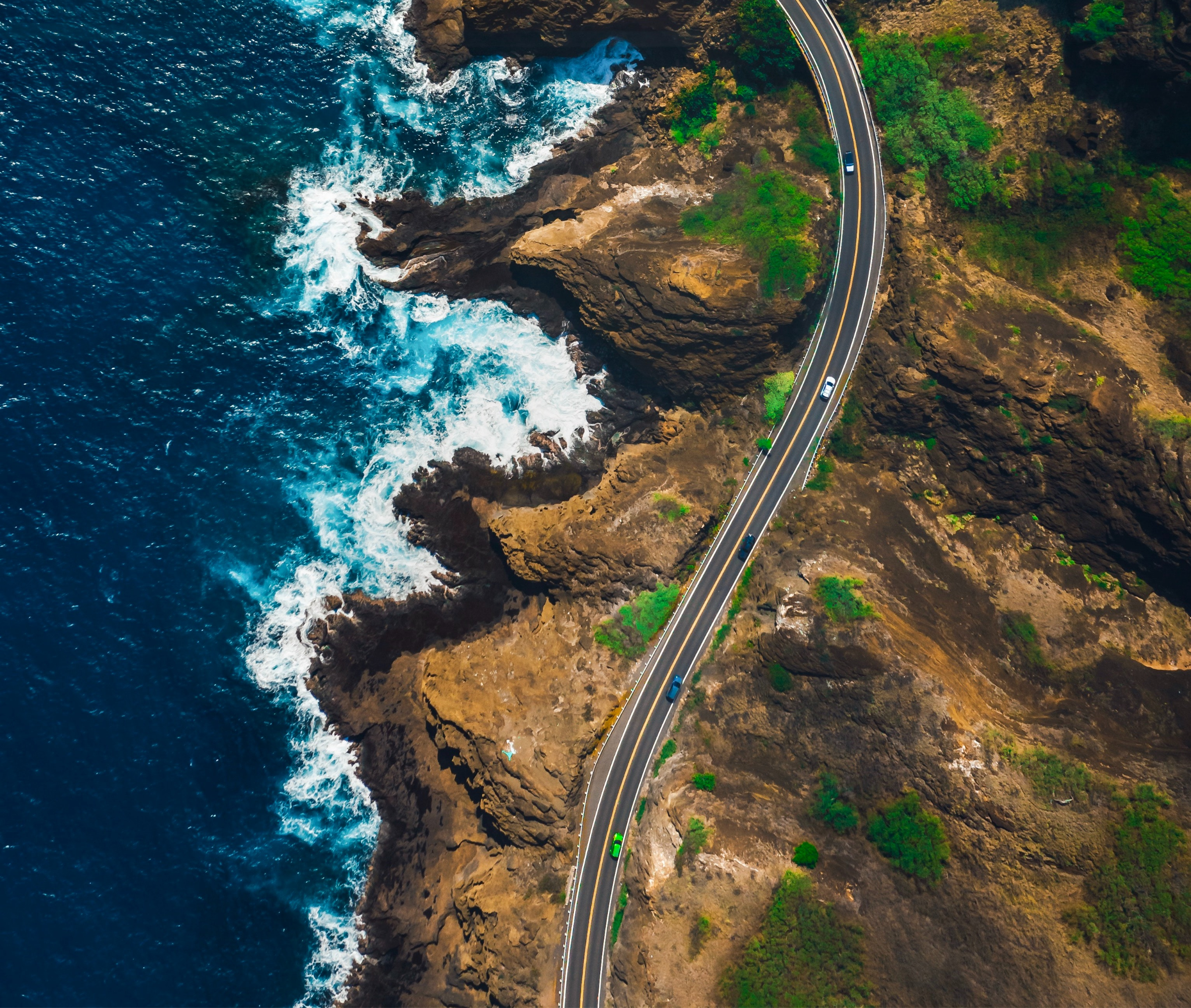 Determine if Green Seal Certification Makes Sense for Your Business