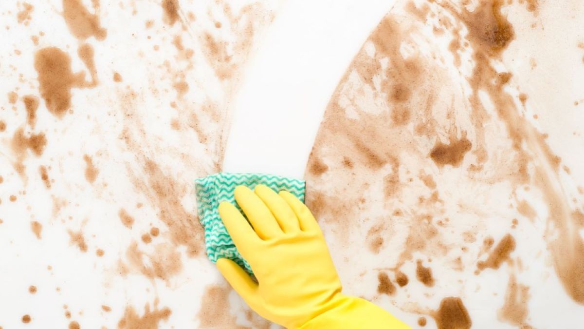 Our Standard Means Uncompromising Cleaning Performance