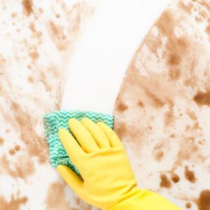 Our Standard Means Uncompromising Cleaning Performance